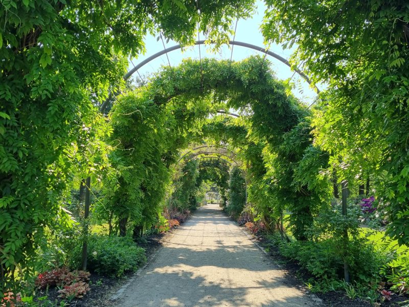 Botanischer Garten, flanieren durch die Parkanlage © Stiftung Bremer Rhododendronpark