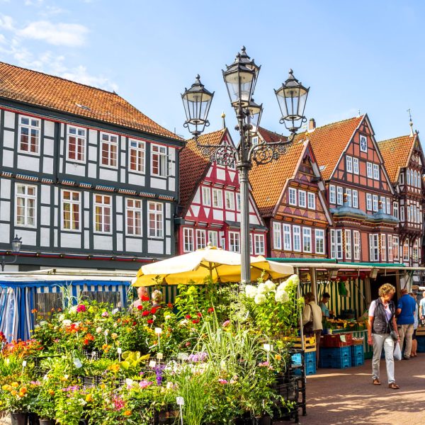 Busreise Wildromantik Lüneburger Heide - Celles, Stadt der Fachwerkhäuser