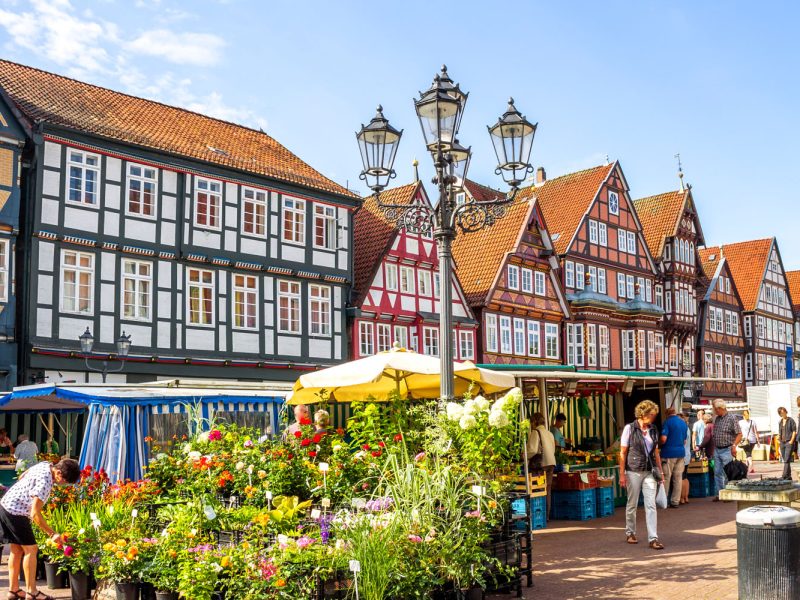 Busreise Wildromantik Lüneburger Heide - Celles, Stadt der Fachwerkhäuser