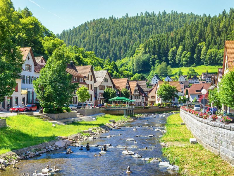 Busreise Singlereise Schwarzwald