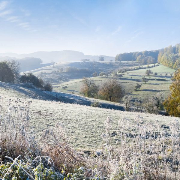 Busreise Odenwald-Glück