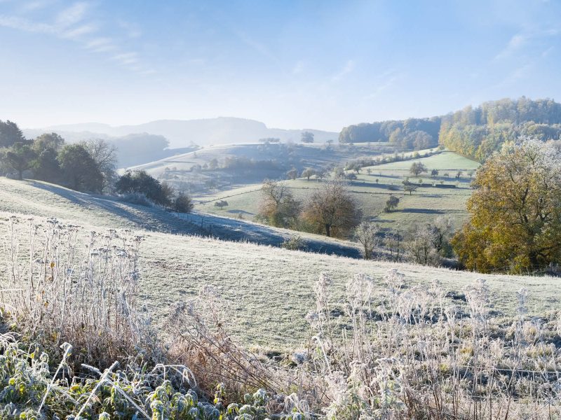 Busreise Odenwald-Glück