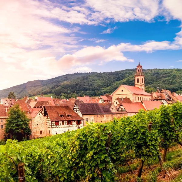 Busreise Erlebnis Elsass - Weinverkostung in Riquewihr
