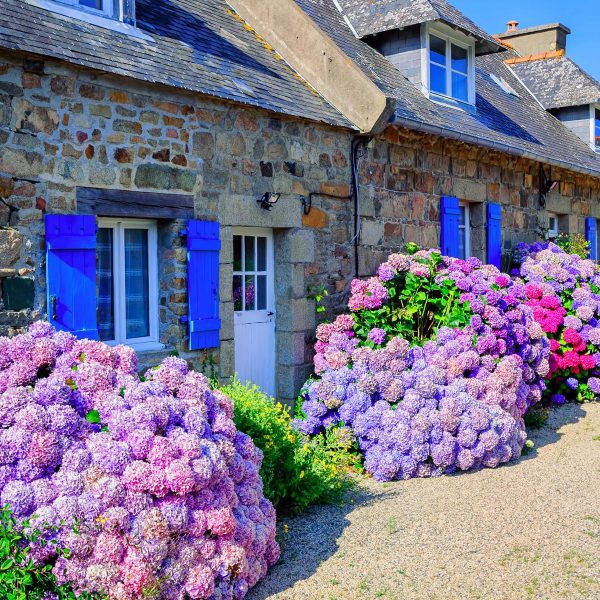 Busreise Bretagne entdecken