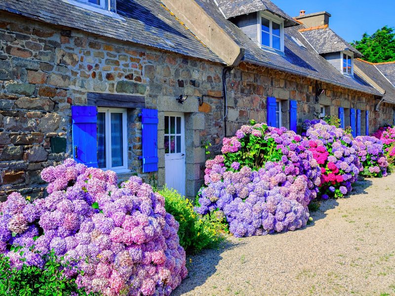 Busreise Bretagne entdecken