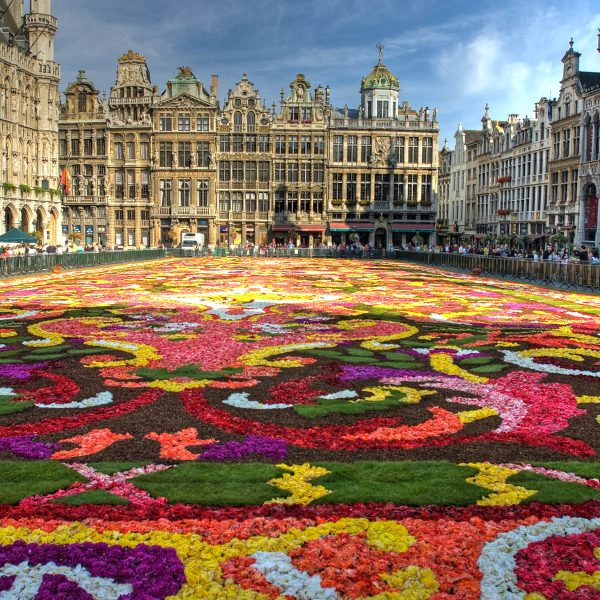 Busreise Brüssler Blumenteppich