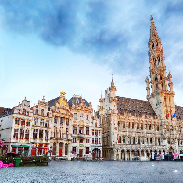 Busreise Brüssler Blumenteppich