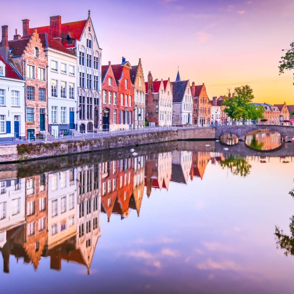 Busreise Brüssler Blumenteppich