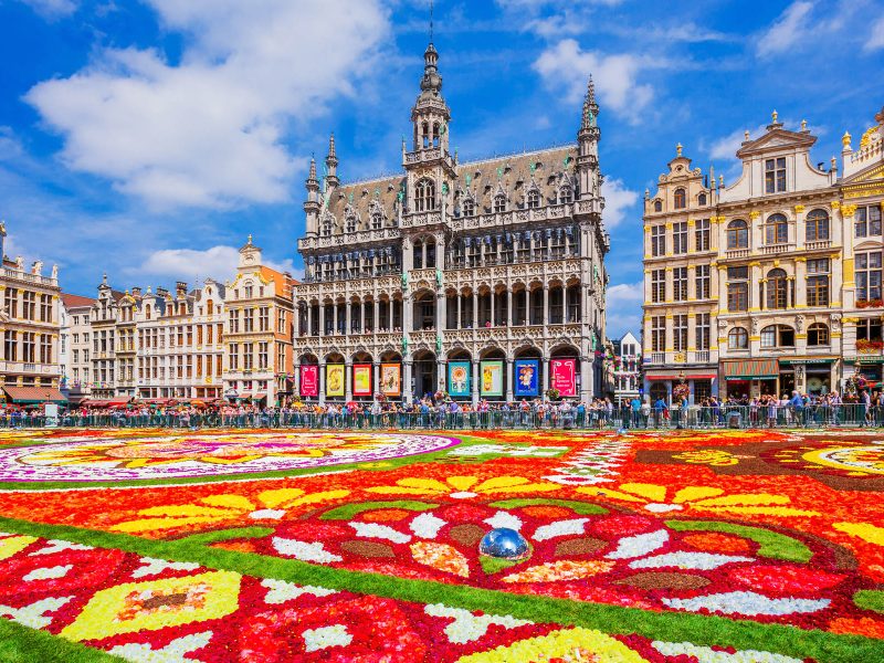 Busreise Brüssler Blumenteppich