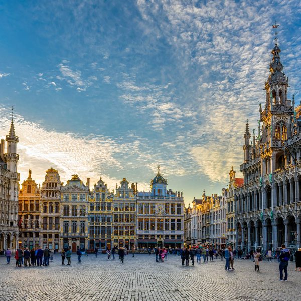 Busreise Brüssler Blumenteppich