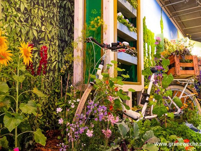 Tagesfahrt Berlin Grüne Woche © Messe Berlin