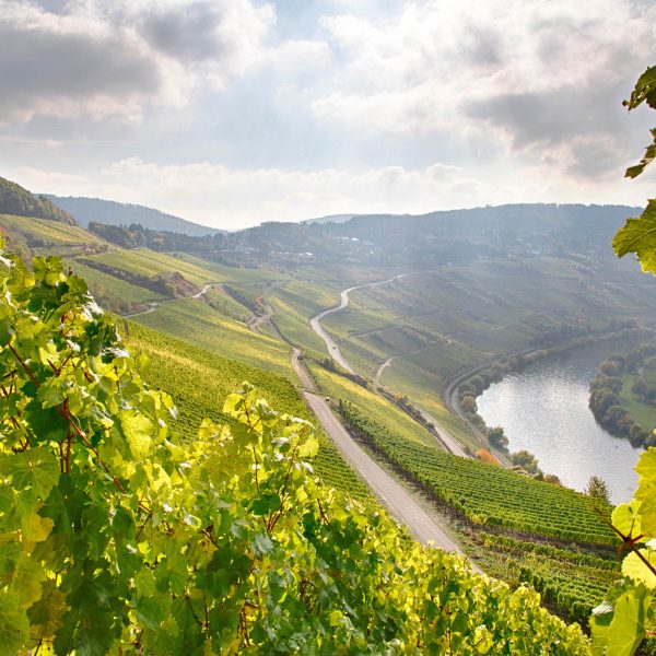 Flusskreuzfahrt Die Vier-Flüsse-Premium-Reise: Entlang der Mosel