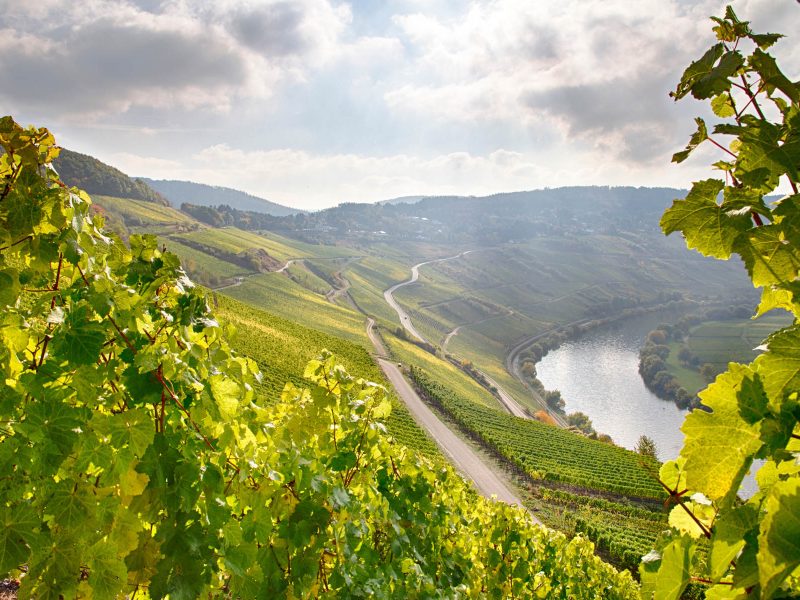 Flusskreuzfahrt Die Vier-Flüsse-Premium-Reise: Entlang der Mosel