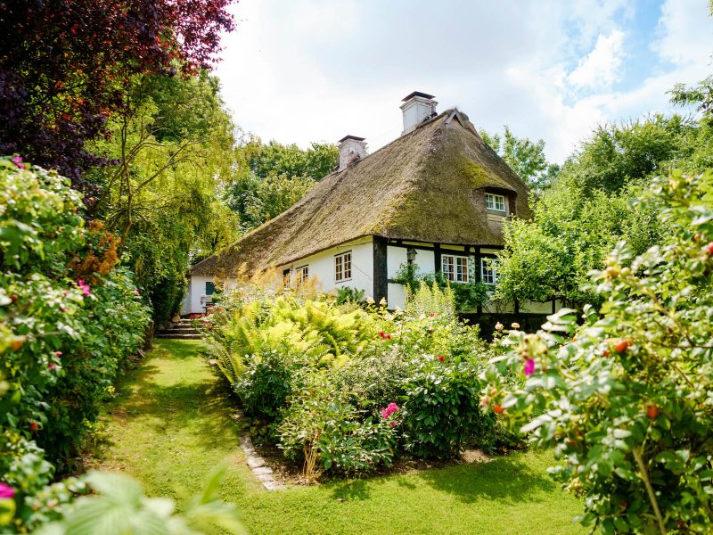 Busreise Nordfriesland erleben - Wind, Weite, Wattenmeer