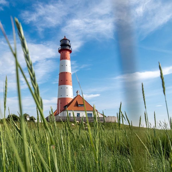 Busreise Nordfriesland erleben - Wind, Weite, Wattenmeer: Westerhever Leuchtturm in Eiderstedt