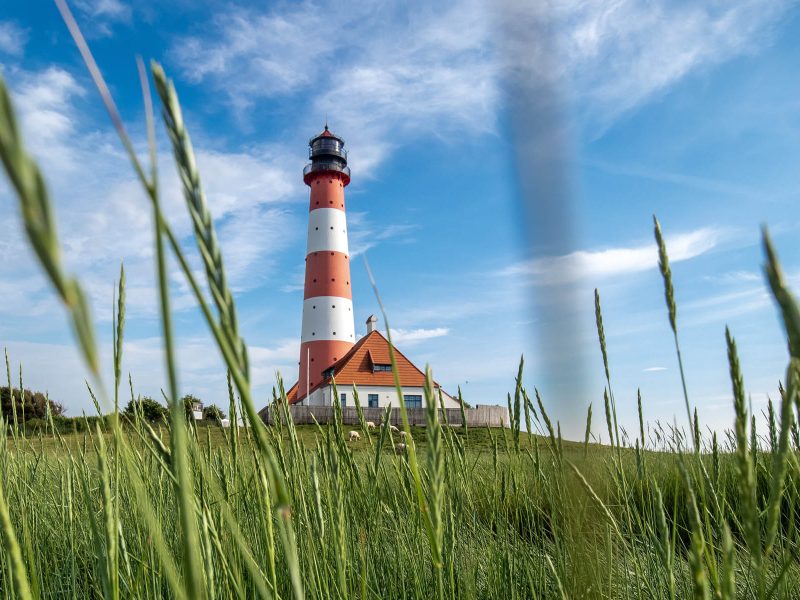 Busreise Nordfriesland erleben - Wind, Weite, Wattenmeer: Westerhever Leuchtturm in Eiderstedt
