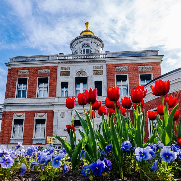 Tagesfahrt Tulpenfest in Potsdam