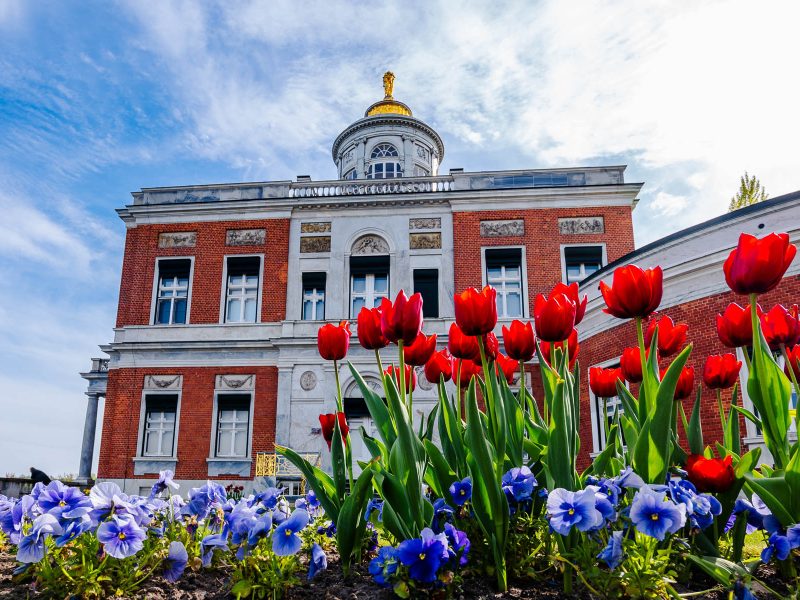Tagesfahrt Tulpenfest in Potsdam