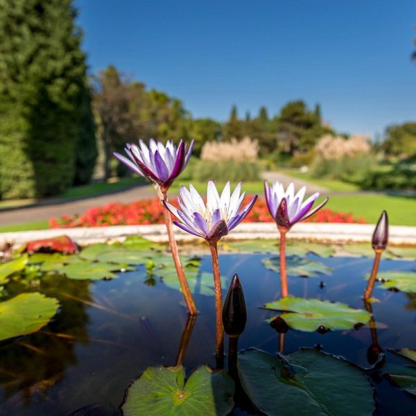 Opern-Erlebnisreise nach Verona: Sigurta