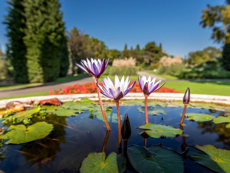 Opern-Erlebnisreise nach Verona: Sigurta