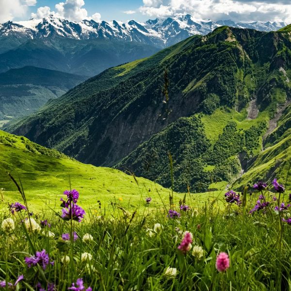 Entdeckungsreise durch Aserbaidschan & Georgien: Georgien