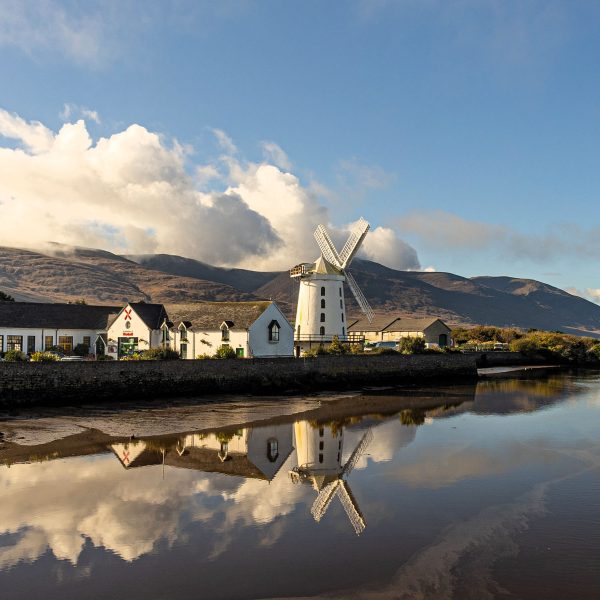 Busreise Irland - Insel der Superlative: Tralee, Kerry Island