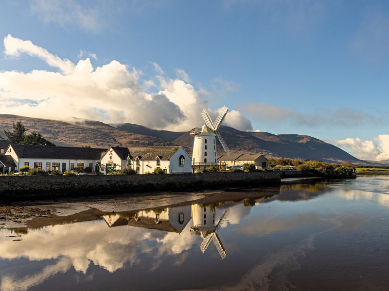 Busreise Irland - Insel der Superlative: Tralee, Kerry Island