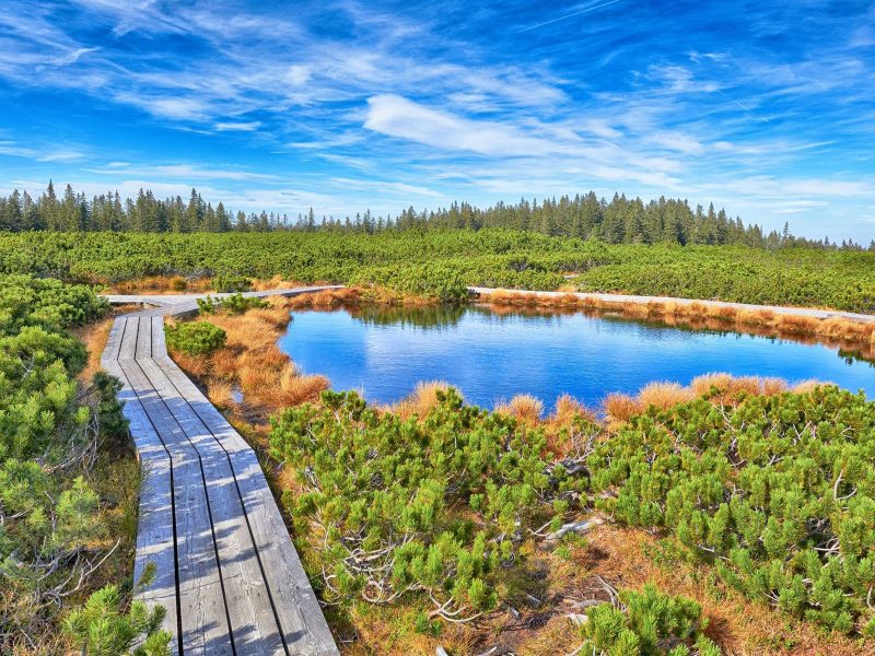 Busreise Wohlfühlurlaub in Slowenien