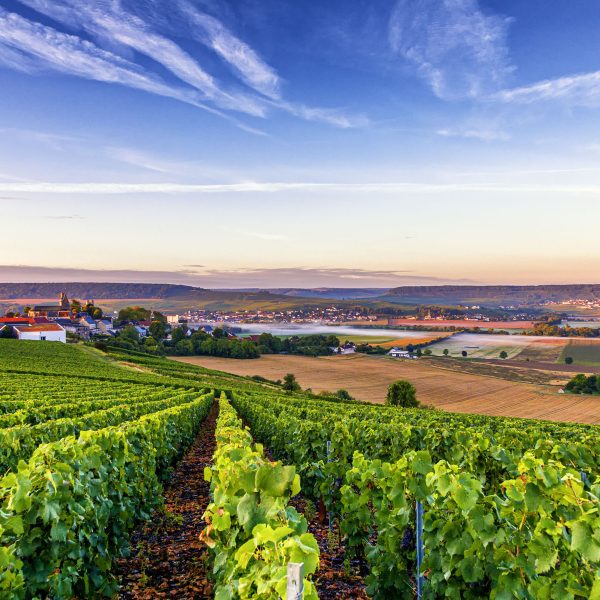 Busreise Champagner Pur! - Reims