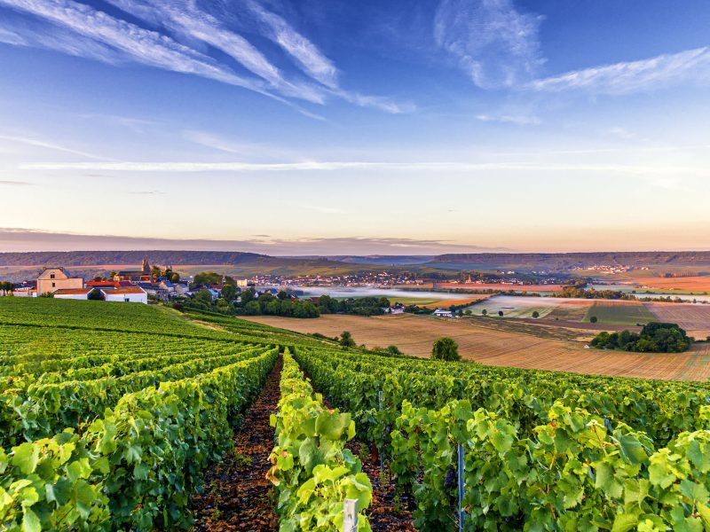 Busreise Champagner Pur! - Reims