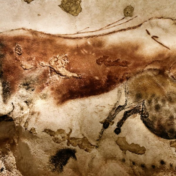 Perigord - wie Gott in Frankreich: Die Höhle von Lascaux