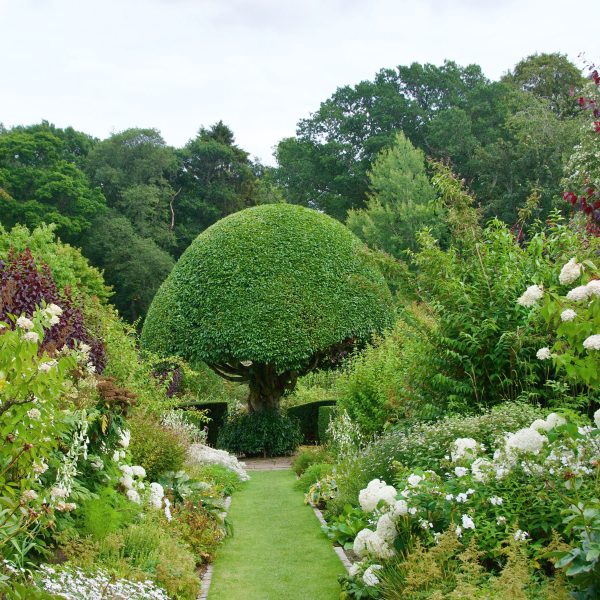Busreise Premiumgartenreise Schottlands blühender Stolz: Gärten des Crathes Castle