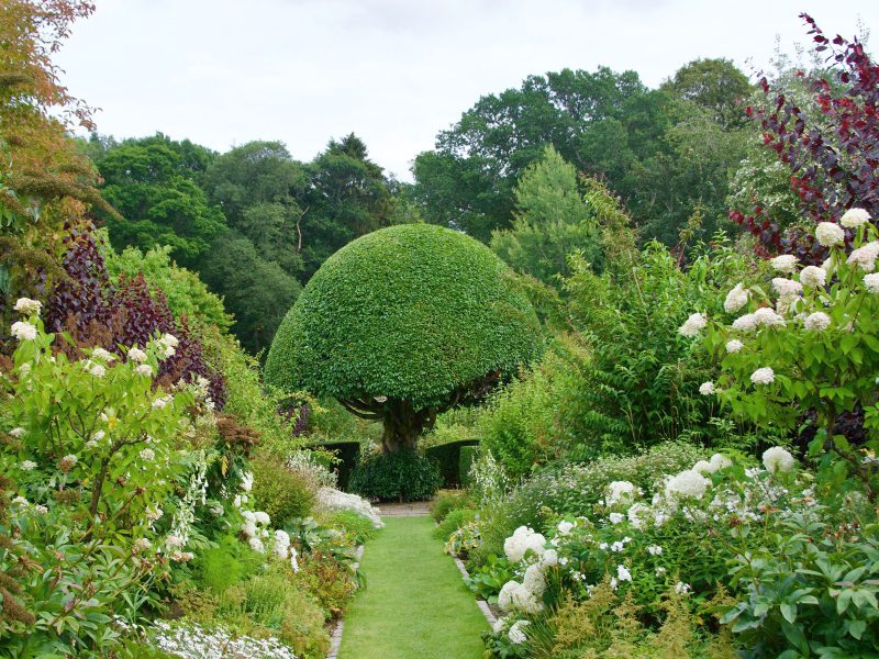 Busreise Premiumgartenreise Schottlands blühender Stolz: Gärten des Crathes Castle