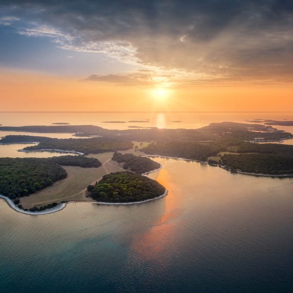Busreise Olivenernte in Istrien - Brijuni Nationalpark