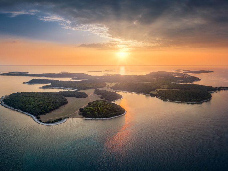 Busreise Olivenernte in Istrien - Brijuni Nationalpark