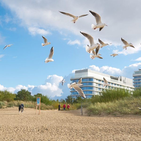 Busreise Urlaub auf Usedom: Strand, Sand und Sonne