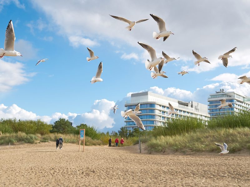 Busreise Urlaub auf Usedom: Strand, Sand und Sonne