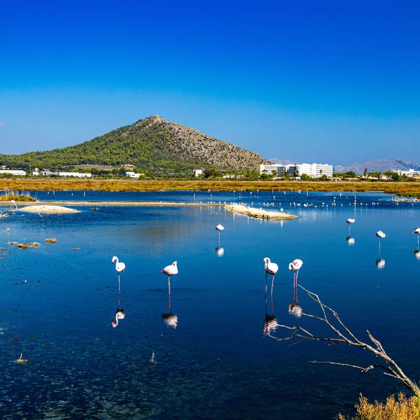 Flugreise Mediterranes Erleben an Spaniens Sonnenküste: Albufera