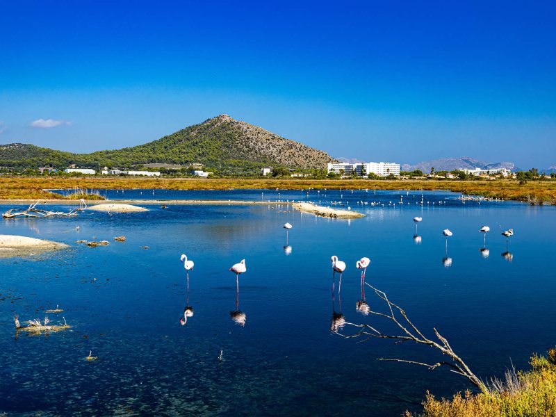Flugreise Mediterranes Erleben an Spaniens Sonnenküste: Albufera