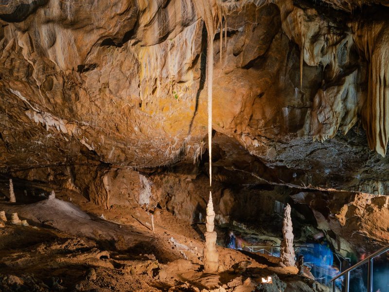 Busreise Gartenwunder in Tschechien: Punkva Höhlen