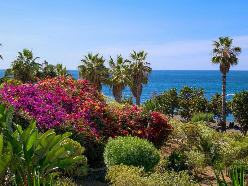 Teneriffa Aktiv: Wanderparadies zwischen Vulkanen und Küsten