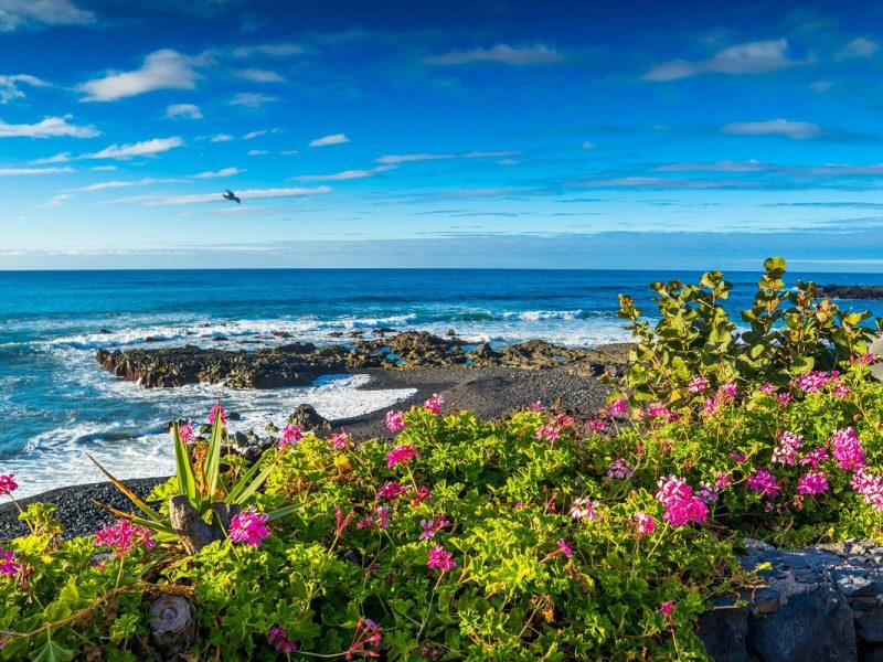 Teneriffa Aktiv: Wanderparadies zwischen Vulkanen und Küsten