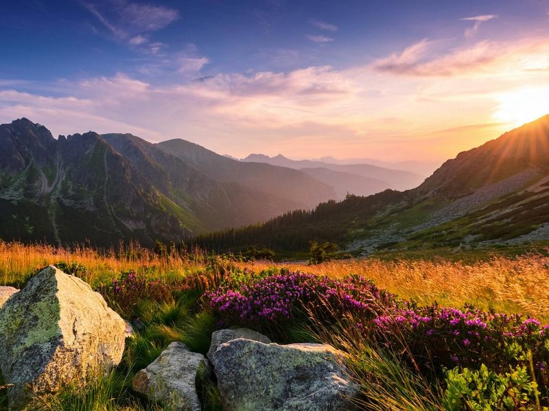 Busreise Wanderparadies Slowakei