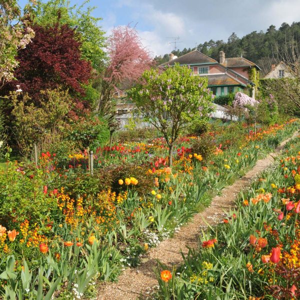 Flusskreuzfahrt Blütenträume an der Seine - Blütenpracht in Claude Monets Gärten © PackShot - Fotolia