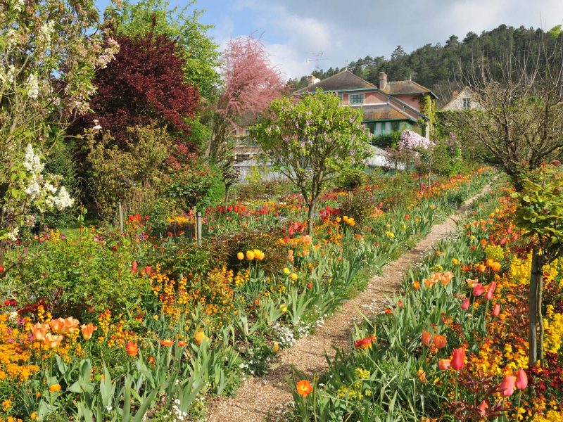 Flusskreuzfahrt Blütenträume an der Seine - Blütenpracht in Claude Monets Gärten © PackShot - Fotolia