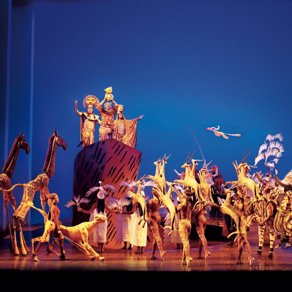 Busreise Musical in Hamburg - Disneys der König der Löwen - Der ewige Kreis © Stage Entertainment