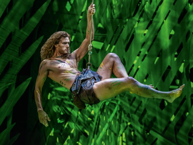 Busreise Musical Hamburg: Disneys TARZAN - Terence van der Loo als Tarzan © Johan Persson