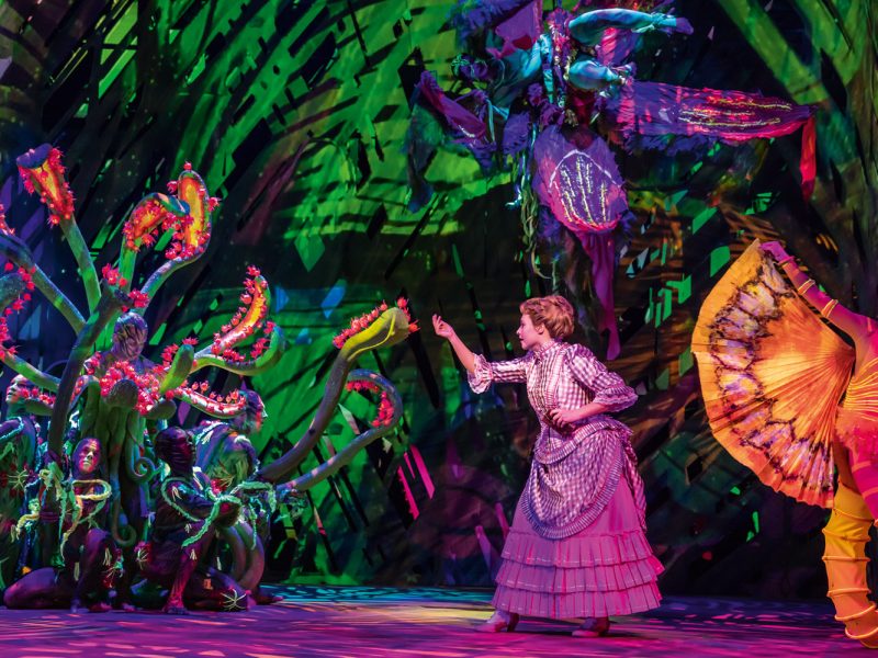 Busreise Musical Hamburg: Disneys TARZAN - Jane im Dschungel © Johan Persson