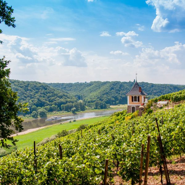 Tagesfahrt Sächsische Weinkultur & Musikalischer Zauber: Meißen