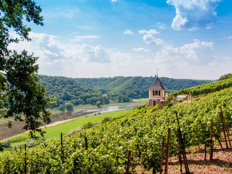 Tagesfahrt Sächsische Weinkultur & Musikalischer Zauber: Meißen